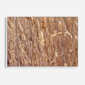 Obraz w ramie 120x80 - Mistrzowskie suche trawy - suche, trawy - rama biała