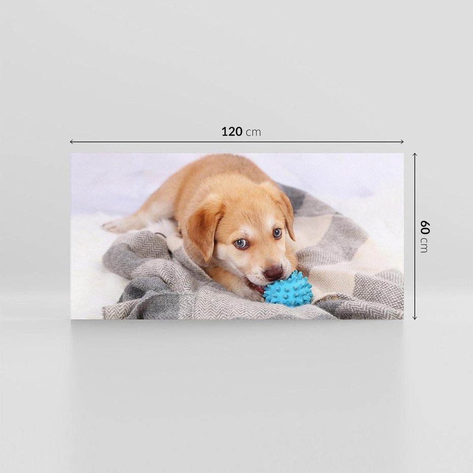 Obraz na płótnie 120x60 - Radość w zabawie: Piesek jako najlepszy przyjaciel - pies, piesek