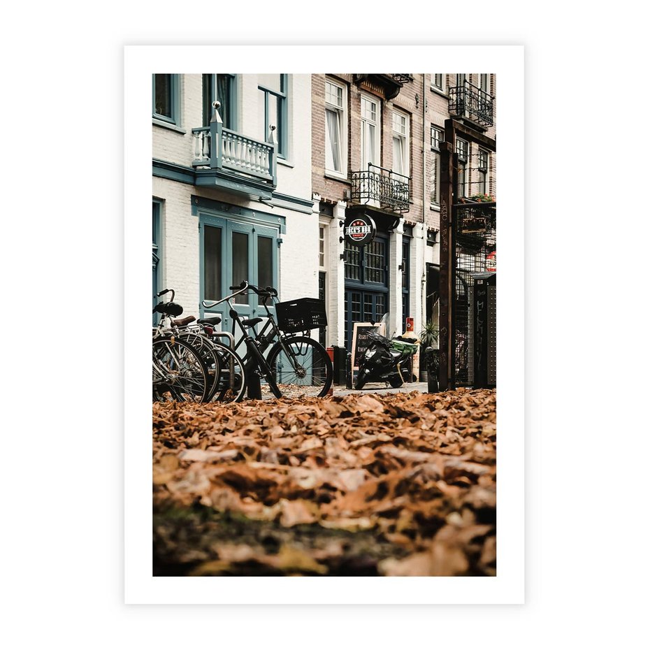 Plakat bez ramy 40x50 - Rowery w Mieście pełnym Liści - rower, miasto