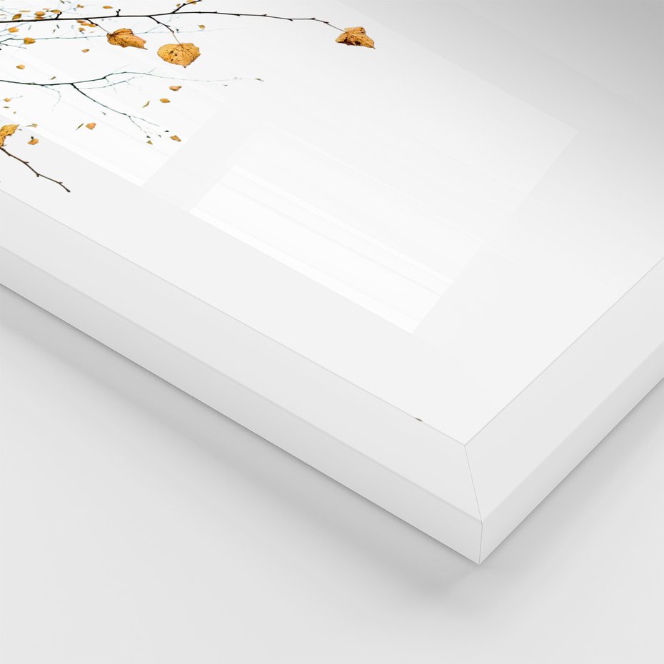 Zestaw obrazy w ramie 40x50 galeria - Liście, jesień, kompozycja - rama biała