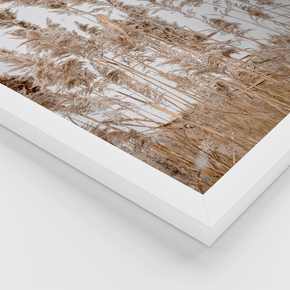 Zestaw obrazy w ramie 30x40 galeria - Trawy, morze, plaża, pampas - rama biała