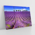 Obraz na płótnie 120x80 - pola wonnych kwiatów - lawenda, kwiaty