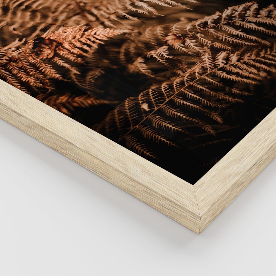 Zestaw obrazy w ramie 30x40 galeria - Bogo, jesienny, las, paprocie - rama drewno