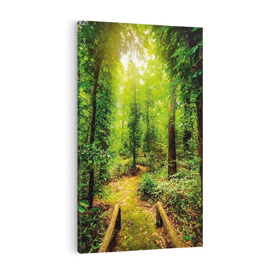 Obraz na płótnie 70x100 - Współistnienie z naturą - drzewa, las