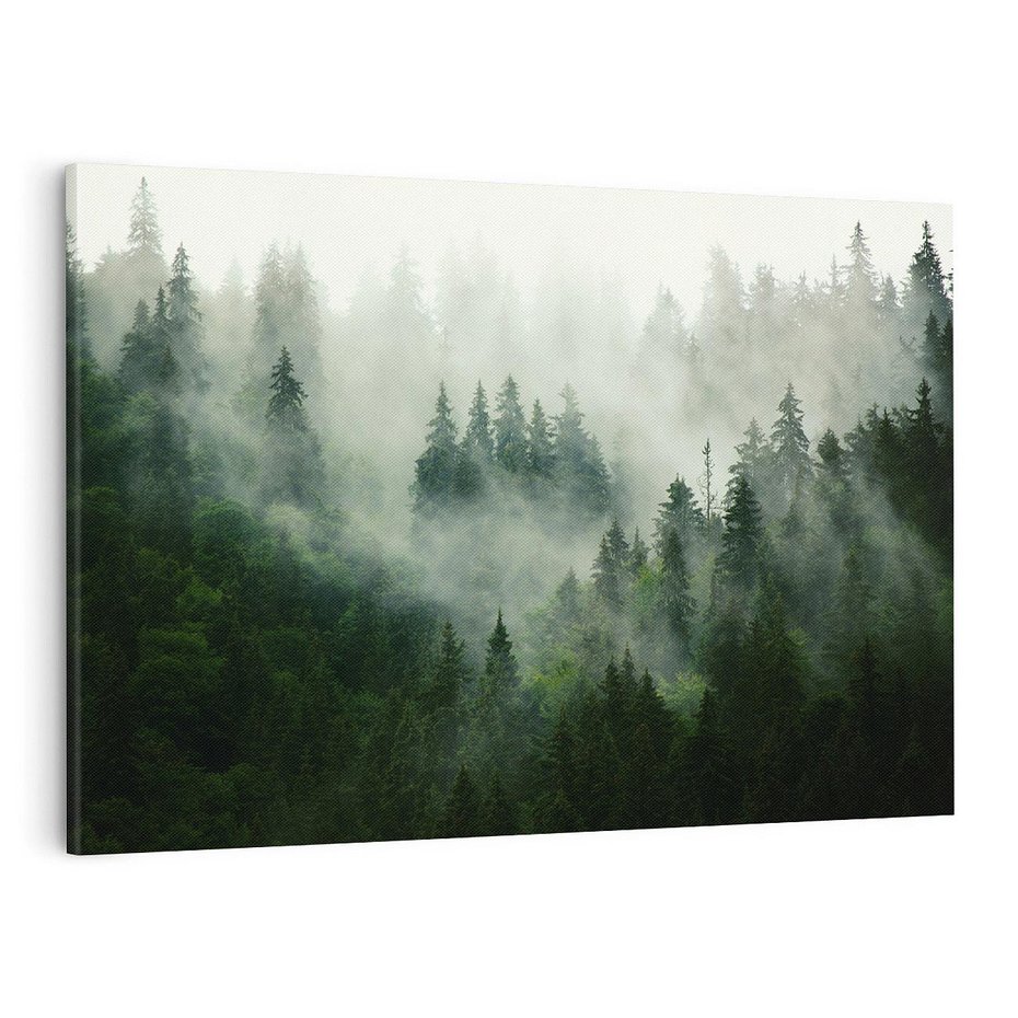 Obraz na płótnie 120x80 - Las Mgły - Las, we