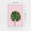 Obraz w ramie 50x70 - Egzotyczna Roślinność - liście, monstera - rama biała