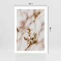 Plakat bez ramy 21x30 - Kwiatowa suchość - kwiaty, susz