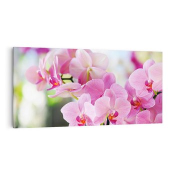 Obraz na płótnie 140x70 - Elegancja orchidei - orchidea, kwiaty