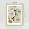 Plakat w ramie 30x40 - Jesienne Dynie: Delikatna Kompozycja - białe dynie, jasna kompozycja - rama drewno