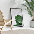 Plakat bez ramy 30x40 - Zielone liście monstery - liście, monstera