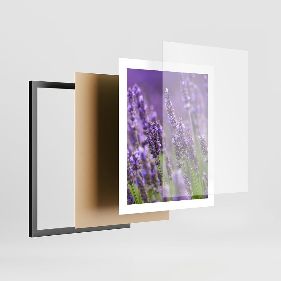 Plakat w ramie 40x50 - Urok lawendy - lawenda, kwiaty - rama czarna
