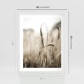 Plakat w ramie 40x50 - Kłosy Pszenicy w Sepii - zboże, kłos pszenicy - rama biała