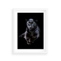 Plakat w ramie 30x40 - Czarna pantera: majestat i siła - czarna, pantera - rama biała