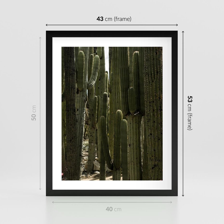 Plakat w ramie 40x50 - Wyjątkowy Klimat Boho - kaktusy, pustynia - rama czarna