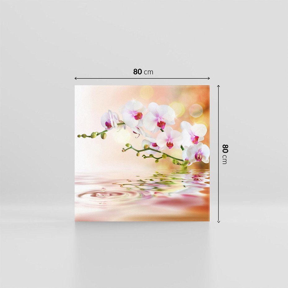 Obraz na płótnie 80x80 - Elegancja orchidei - orchidea, kwiaty