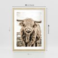 Plakat w ramie 30x40 - Klimat Wiejskiego Życia - amerykańska krowa, byk - rama drewno