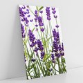Obraz na płótnie 70x100 - Fioletowa harmonia lawendy - lawenda, fiolet