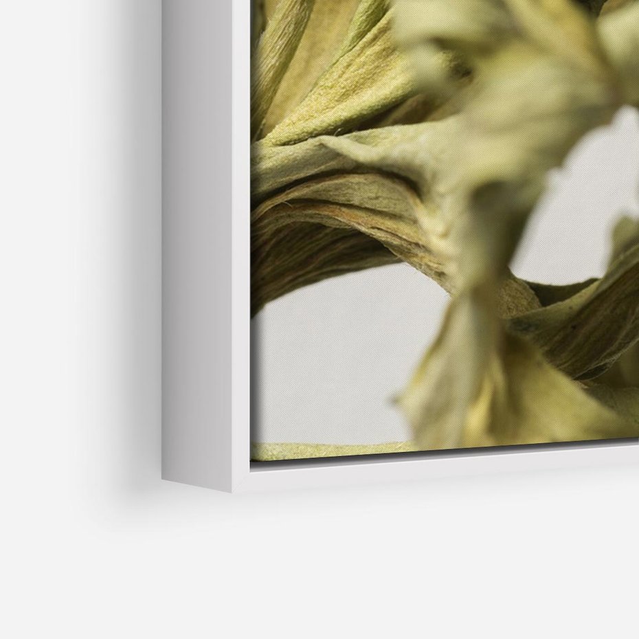 Obraz w ramie 70x50 - Odejście pory deszczowej - suche, trawy - rama biała