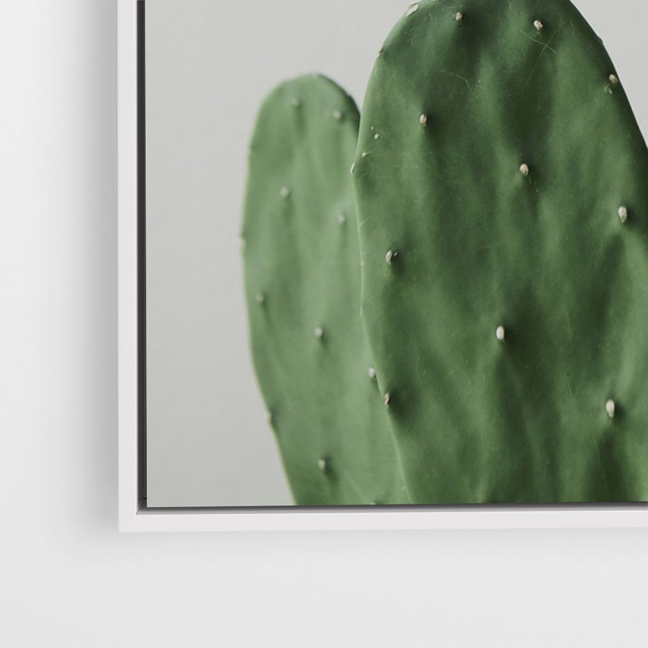 Obraz w ramie 70x100 - Majestatyczne Wysokości - kaktusy, liście - rama biała