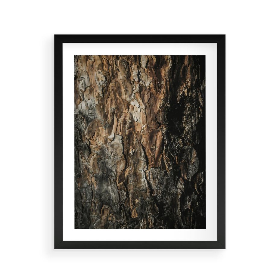 Plakat w ramie 40x50 - Tekstura Drewna: Zbliżenie - zbliżenie na pień drzewa, tekstura - rama czarna