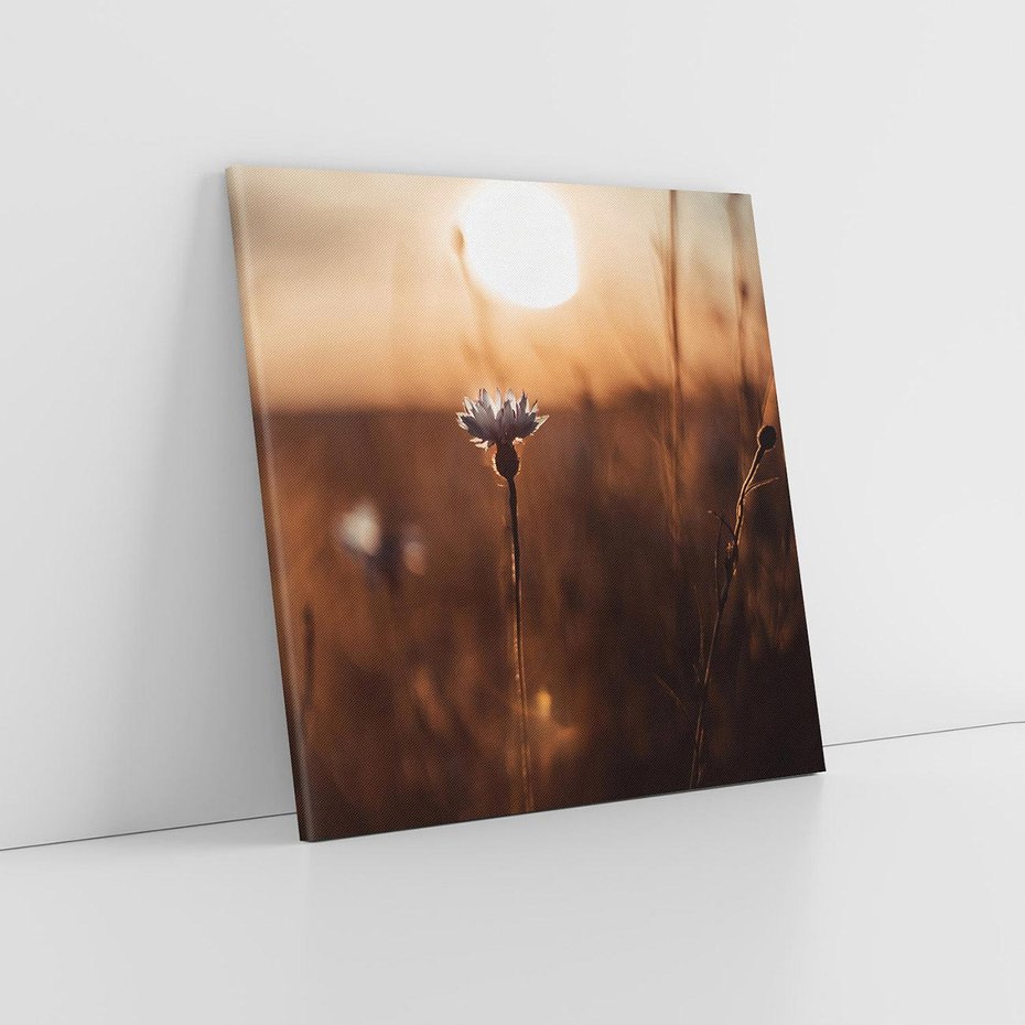 Obraz na płótnie 40x40 - Spokój łąki pod zachodem słońca - zachód, słońca