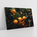 Obraz na płótnie 100x70 - Mandarynki na Drzewku - Owoce Pory Roku - mandarynki, drzewko