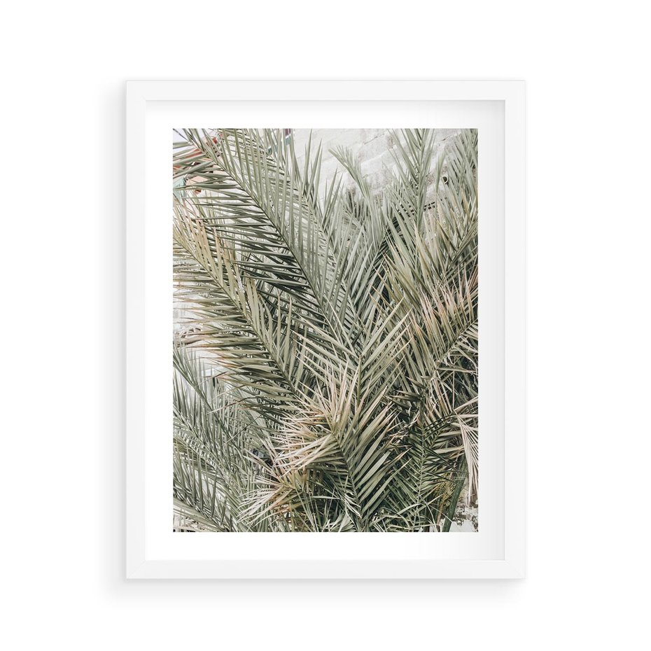 Plakat w ramie 40x50 - Egzotyczny Świat Palm - palmy, liście palmy - rama biała