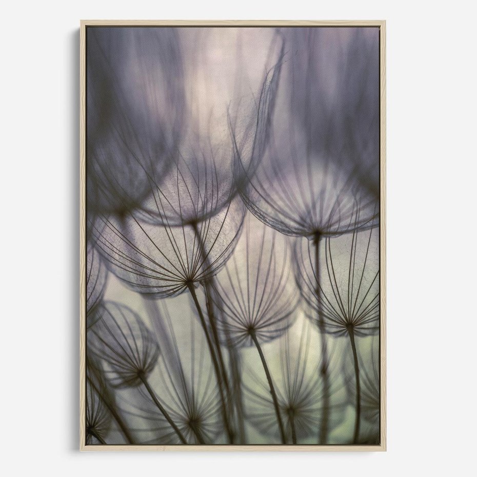 Obraz w ramie 80x120 - Makro dmuchawiec - piękno drobnych detali - dmuchawce, makro - rama drewno