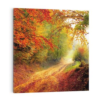 Obraz na płótnie 40x40 - Jesienny urok magia lasu - las, jesień