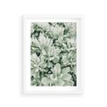 Plakat w ramie 30x40 - Liście w Jasnych Odcieniach Zielonego - liście, jasna zieleń fotografia - rama biała