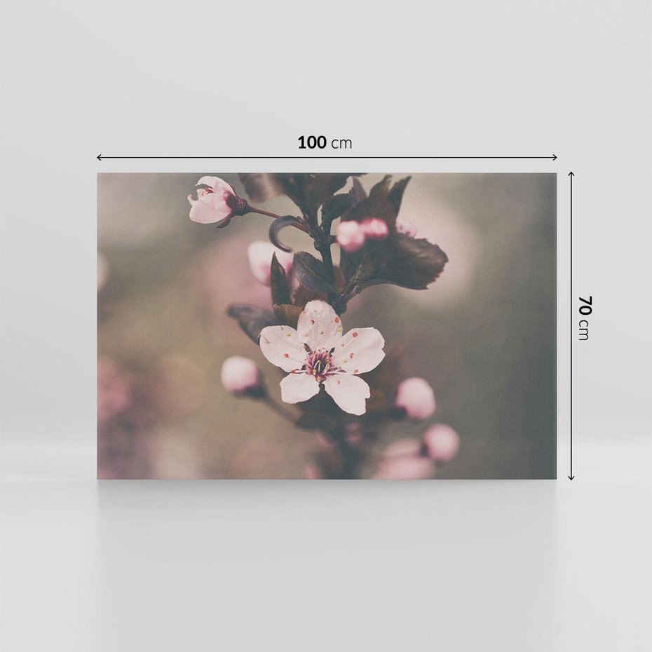 Obraz na płótnie 100x70 - Przemijający Urok - kwitnąca, wiśnia