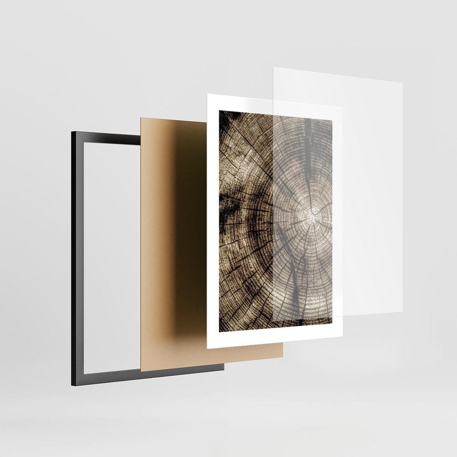 Plakat w ramie 30x40 - Natura Pod Lupą - pień drzewa, przekrój - rama czarna