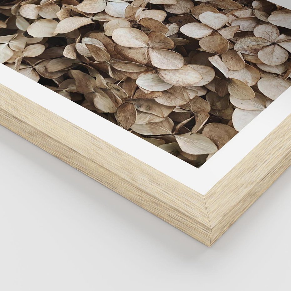 Plakat w ramie 40x50 - Delikatność Hortensji: Kompozycja Kwiatów w Beżu - hortensja, odcienie beżu - rama drewno