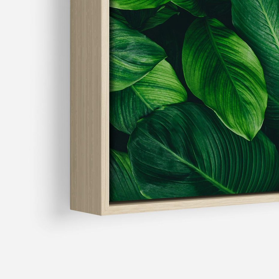 Obraz w ramie 50x50 - Palma Liście Kwiat - palma, liście - rama drewno