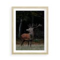 Plakat w ramie 50x70 - Spotkanie z naturą - jeleń, las - rama drewno