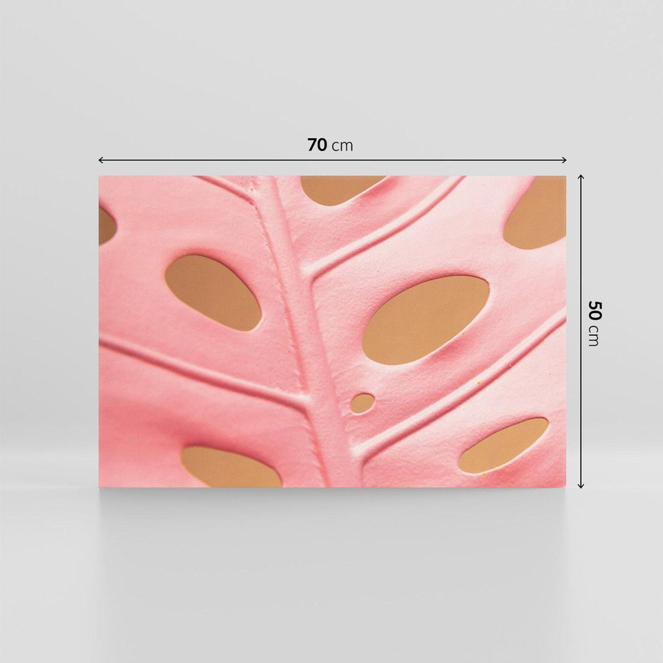 Obraz na płótnie 70x50 - Różowa monstera w pełnym rozkwicie - różowa, monstera