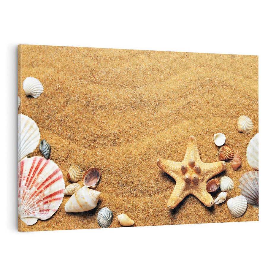 Obraz na płótnie 70x50 - Muszelki na malowniczej plaży - muszle, muszelki