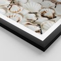 Plakat w ramie 40x50 - Białe Muszle - białe muszle, ujęcie z góry - rama czarna