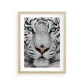 Plakat w ramie 30x40 - Magia Białego Tygrysa - biały, tygrys - rama drewno