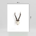 Plakat bez ramy 40x50 - Minimalistyczne Poroże Jelenia - poroże jelenia na ścianie, minimalizm