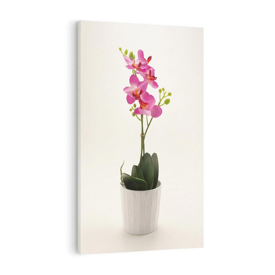 Obraz na płótnie 80x120 - Delikatność storczyka orchidei - storczyk, orchidea