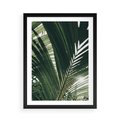 Plakat w ramie 50x70 - Tropikalne Uroki: Palmy i Zielone Liście - palmy, zielone liście - rama czarna