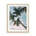 Plakat w ramie 50x70 - Wzrok ku Niebu - palmy na tle nieba, ujęcie z dołu - rama drewno