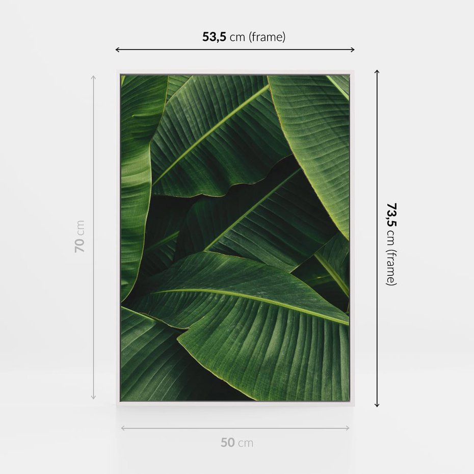 Obraz w ramie 50x70 - Zaklęta roślinna ekspresja - liście bananowca, gęsto ułożone - rama biała