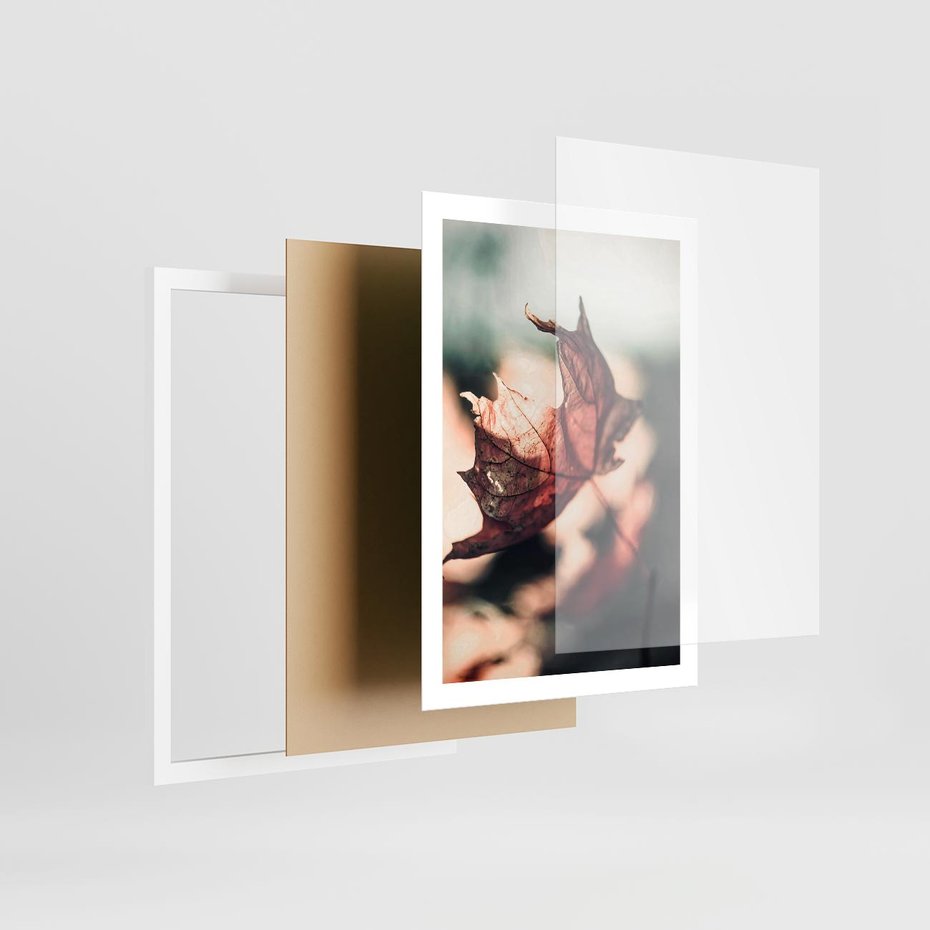 Plakat w ramie 50x70 - Liść w Jesieni - jesienny liść, czerwony - rama biała