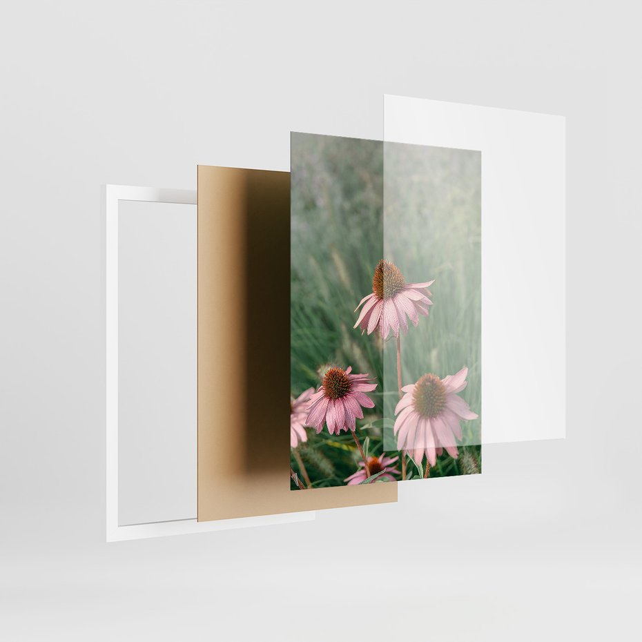 Zestaw obrazy w ramie 50x70 galeria - Kwiaty, łąka, suche, trawy - rama biała