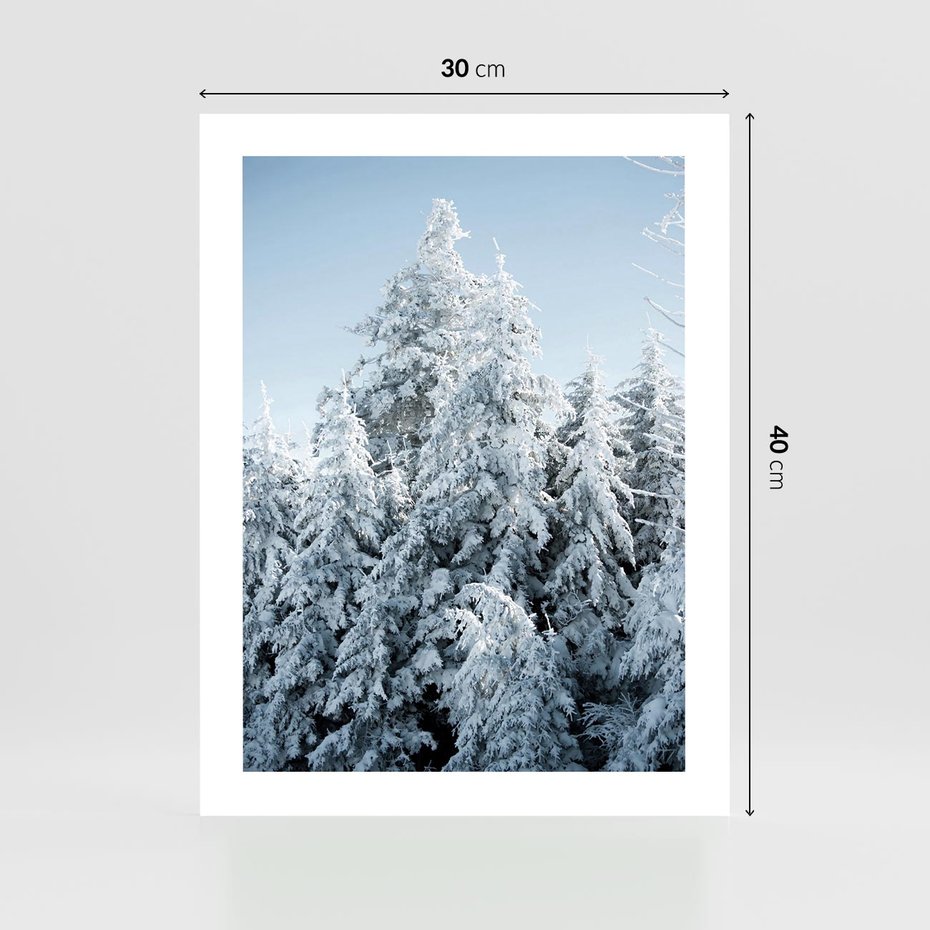 Plakat bez ramy 30x40 - Magia Śnieżnych Drzew - zima, iglaste drzewa