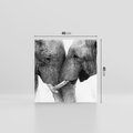 Obraz na płótnie 40x40 - Spotkanie Mądrości - fotografia czarno biała, dwa słonie