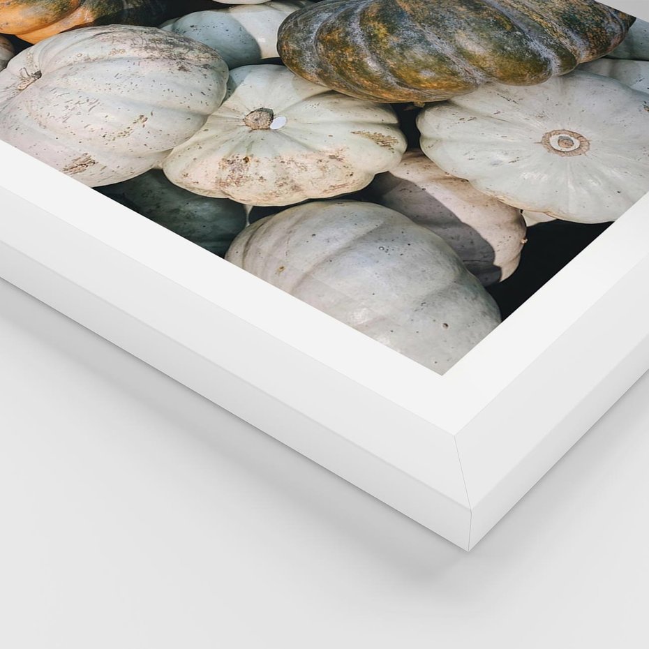 Plakat w ramie 50x70 - Minimalizm Jesieni - dynie, białe - rama biała