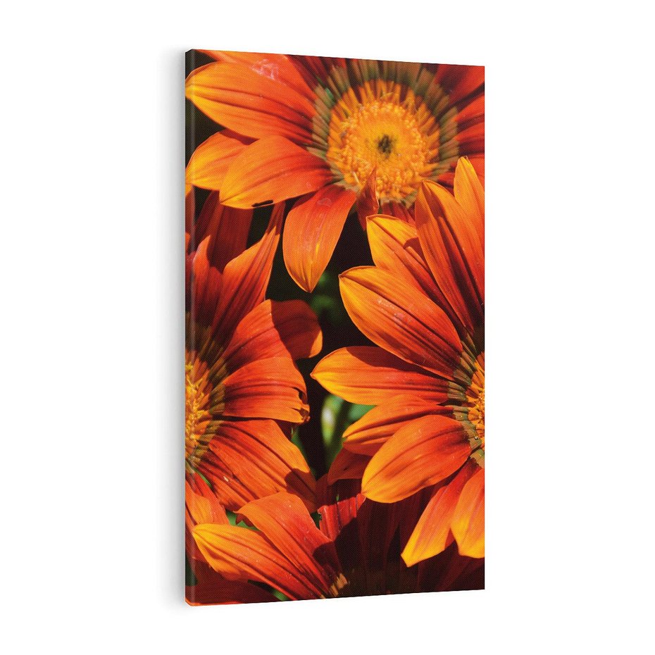 Obraz na płótnie 50x70 - Kwiatowa Esencja - kwiat, kwiaty